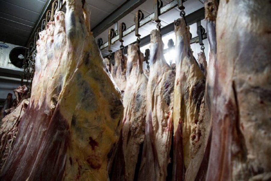 Gobierno flexibiliza las restricciones a la exportación de carne (presencia de Bordet)
