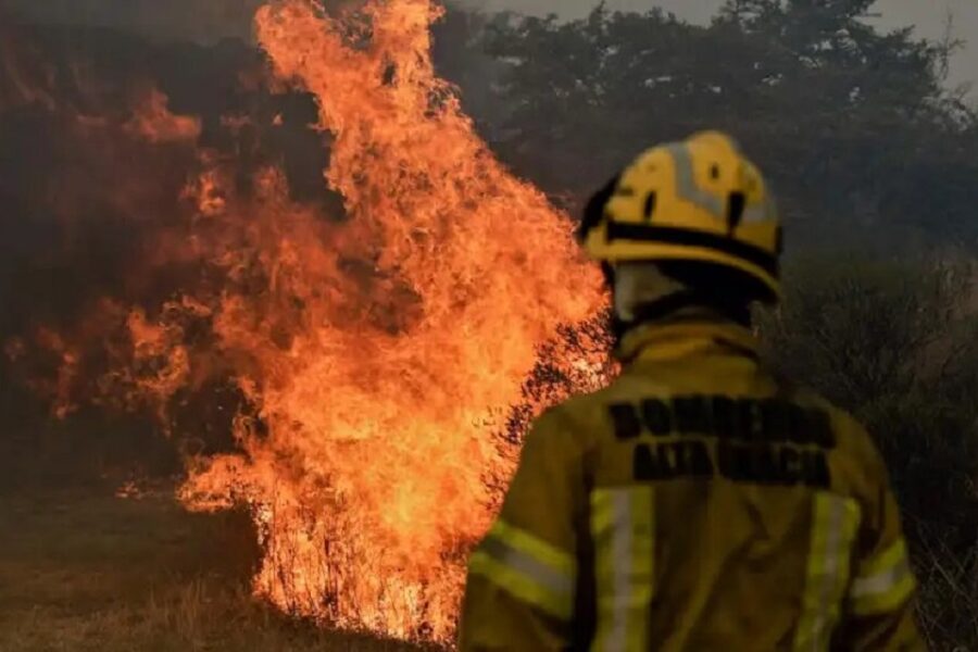 Delta del Paraná: En 2021 ya se incendiaron siete veces la superficie de la Ciudad Autónoma de Buenos Aires
