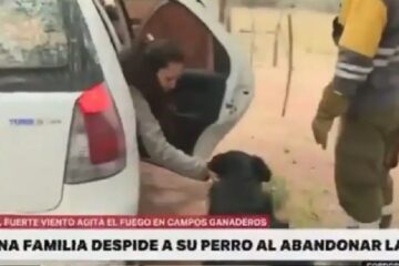 Incendios forestales en Córdoba: una familia se despidió de su perro y causó indignación (mención a focos en Entre Ríos)