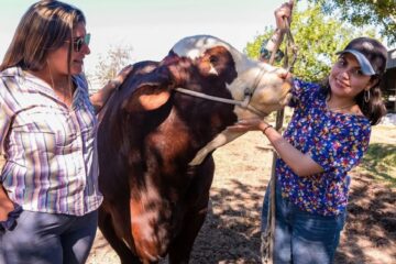 Las razas del norte tienen futuro asegurado (mención a entrerriana)