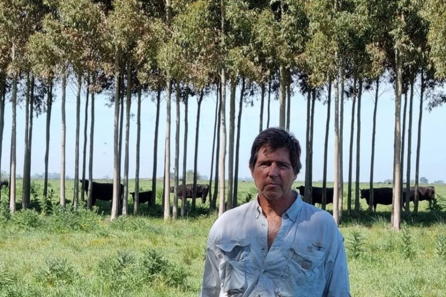 Fuera de la zona de confort: un sistema silvopastoril en campos bonaerenses de cría (negocio entrerriano)