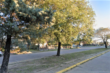 Licitan la 2ª etapa de la obra en Bv. Los Constituyentes