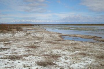 Ley de Humedales: Twitter explotó de mensajes para impulsar el proyecto (mención al Delta del Paraná)