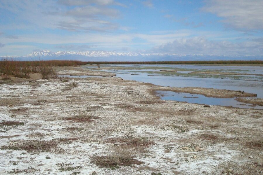 Ley de Humedales: Twitter explotó de mensajes para impulsar el proyecto (mención al Delta del Paraná)