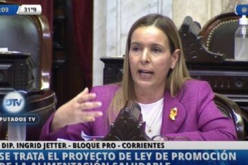 Una diputada habló de Lázaro Báez y “la corrupción en Vialidad Nacional” y le cortaron el micrófono (mención a diputados entrerrianos)