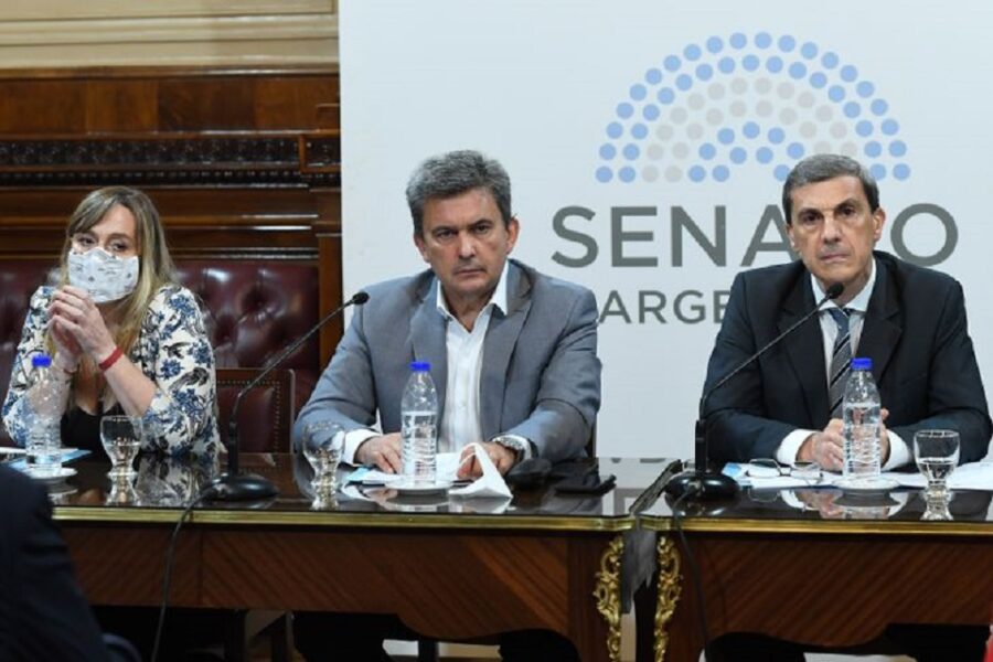 El Senado aprobó en comisión las modificaciones del Impuesto a los Bienes Personales (mención a senador entrerriano)