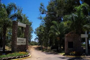 Consulta ciudadana por circulación vehicular en San Carlos