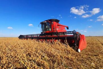 El campo aportó dólares récord este 2021, pero termina con restricciones y cepo (mención a Entre Ríos)