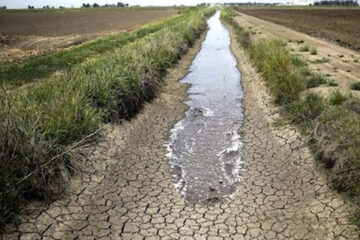 Entre Ríos registra una sequía récord que afecta fuertemente a su ganadería y agricultura