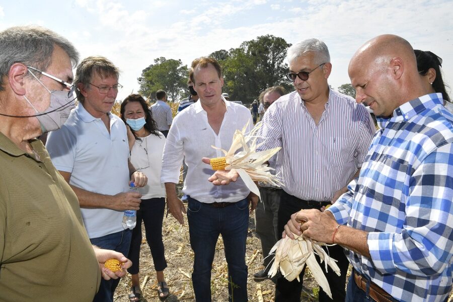 Asistirán a productores entrerrianos afectados por la sequía