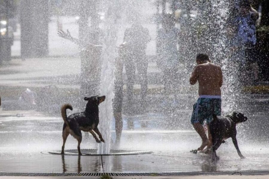 Ola de calor: seis provincias superaron los 40 grados y en Capital la térmica fue de 46,2 (mención a Entre Ríos)