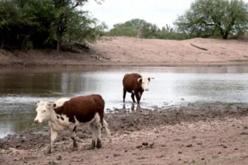 Entre Ríos enfrenta la peor sequía de los últimos 60 años