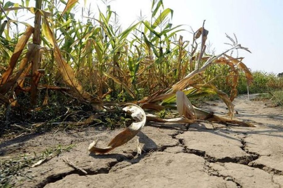Se siguen sumando las pérdidas (mención a Entre Ríos)