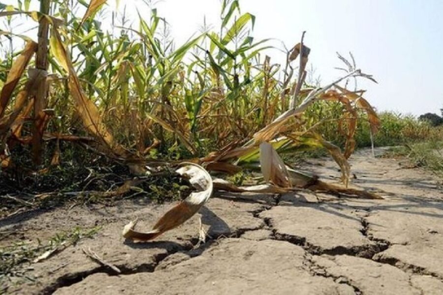 Entre Ríos declaró la emergencia agropecuaria por las sequías y elevadas temperaturas
