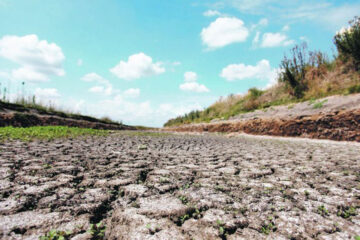 Los números detrás del incendio y la sequía: (Mención a Entre Ríos)