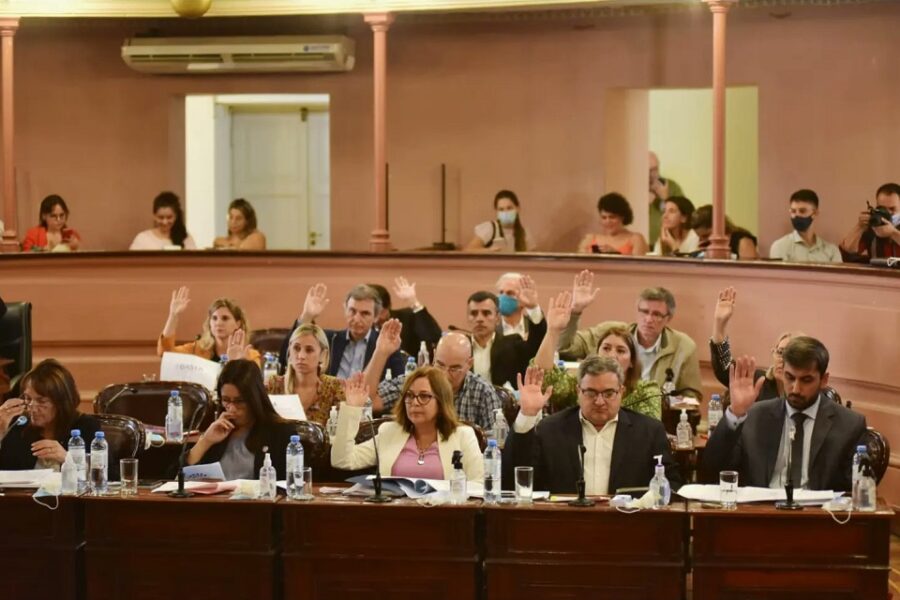 Media sanción a la Ley de Atención por Violencia de Género