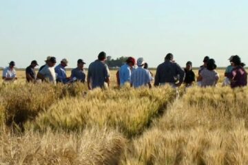 El campo empieza la semana con reclamos por las retenciones: “El Gobierno se volvió a equivocar” (mención a marchas en Entre Ríos)