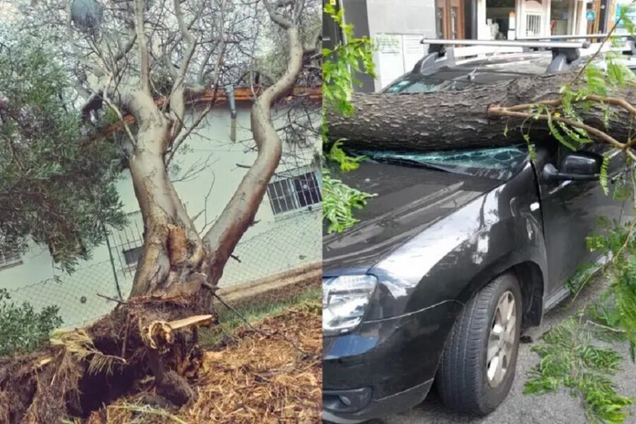 El temporal no da tregua: cortes de luz y destrozos en varias localidades de Argentina (mención a Entre Ríos)