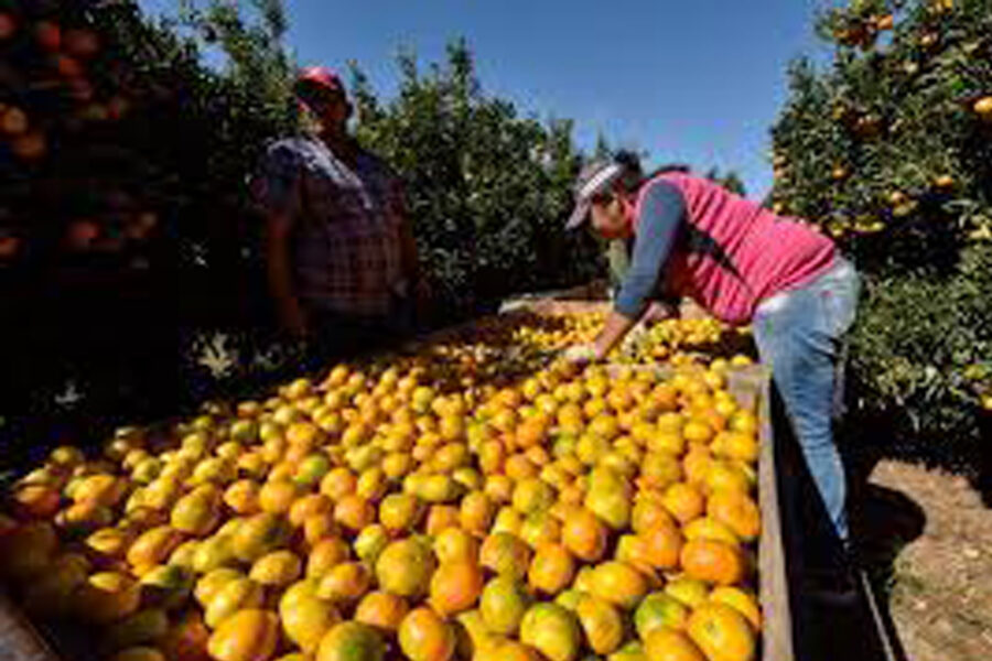 (Mención a Entre Ríos) Con 20.000 empleos en riesgo, lanzan misión de salvataje a una industria clave del Litoral