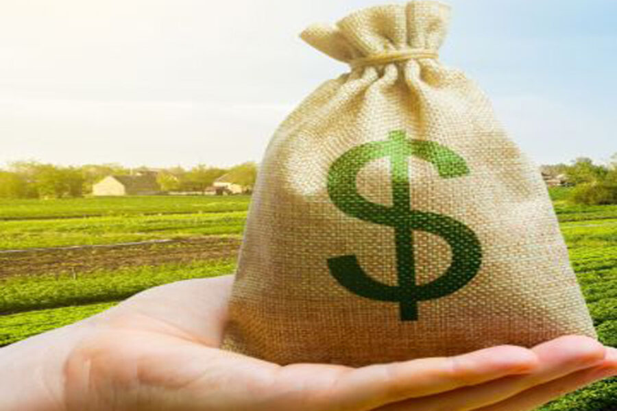 (Mención a Entre Ríos) “Buscamos soluciones y se pelean entre ellos”: la queja del agro en medio de la crisis por el gasoil