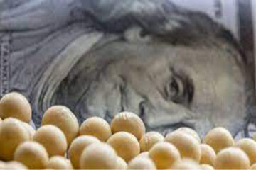 (Mención a Entre Ríos) Agro: récord fiscal y de divisas 21/22