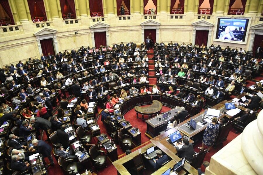 (Mención a legisladora entrerriana) Cannabis medicinal, Boleta Única, VIH y construcción: los proyectos que debate Diputados este jueves