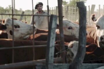 (Mención a carnaval entrerriano) “El fulgor”: trance criollo en planos menguantes