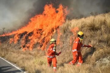 Incendios forestales: alertan situación en Entre Ríos y Santiago del Estero por focos activos