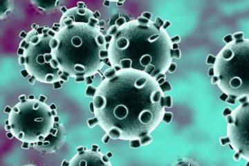 (Datos de Entre Ríos) Los casos de Covid-19 aumentaron un 24 por ciento