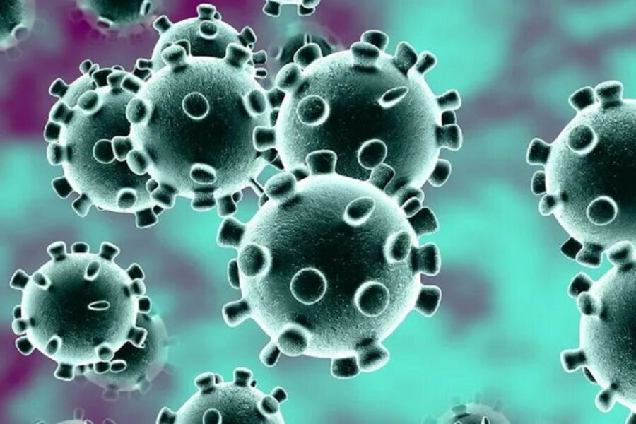 (Datos de Entre Ríos) Los casos de Covid-19 aumentaron un 24 por ciento