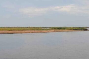 (Sucedió en Entre Ríos) Salió a pescar sin saber nadar y nunca regresó: buscan desesperadamente a un joven en el Río Paraná