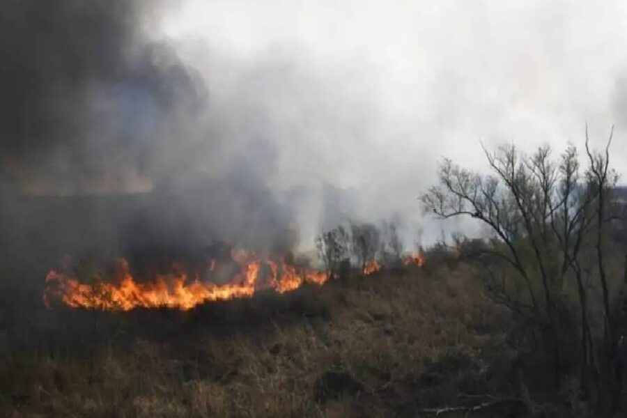 (Mención a Entre Ríos) Ya son más de 65 mil las hectáreas afectadas por los incendios en el Delta del Paraná