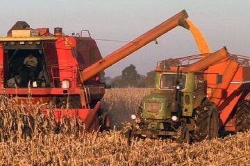 Piden que no se disuelva Producción en Entre Ríos