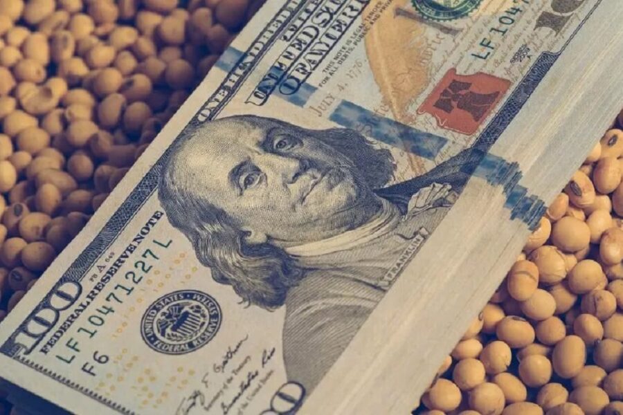 (Mención a funcionario entrerriano) Dólar soja: el Gobierno prepara un guiño al campo para incentivar la liquidación de granos