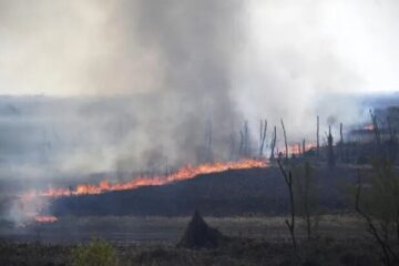 (Mención a islas entrerrianas) Incendios en Rosario: el intendente pidió que los jueces arresten a los responsables