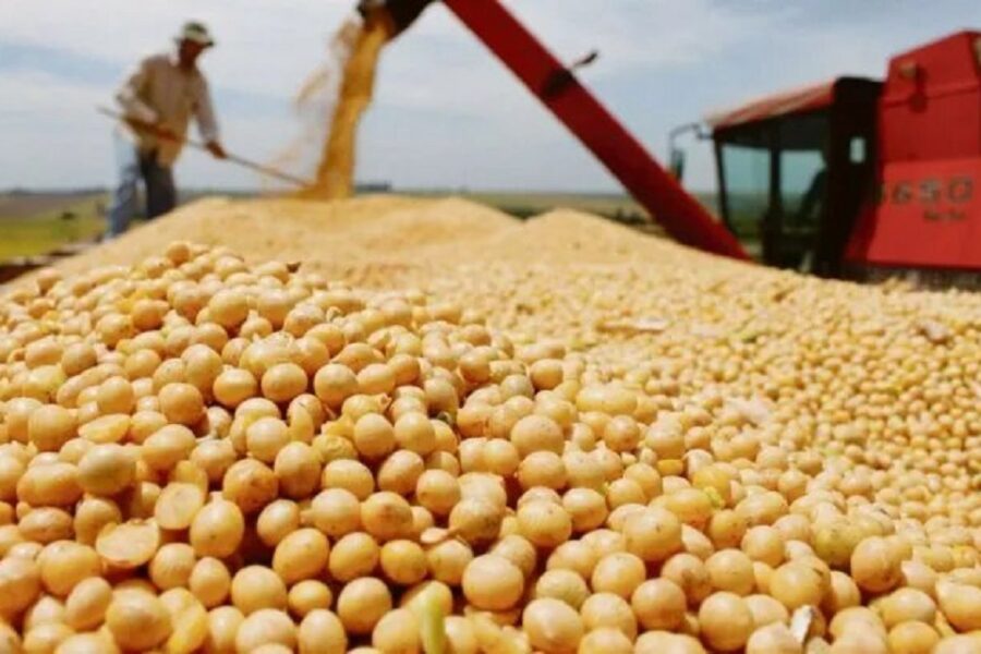 (Mención a funcionario entrerriano) El agro no acelera aún la liquidación de divisas (solo u$s780 millones en agosto)