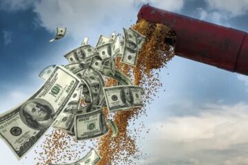 (Mención a Bahillo) Liquidación de dólares del campo no despega: en agosto ingresaron solo u$s1.400 millones