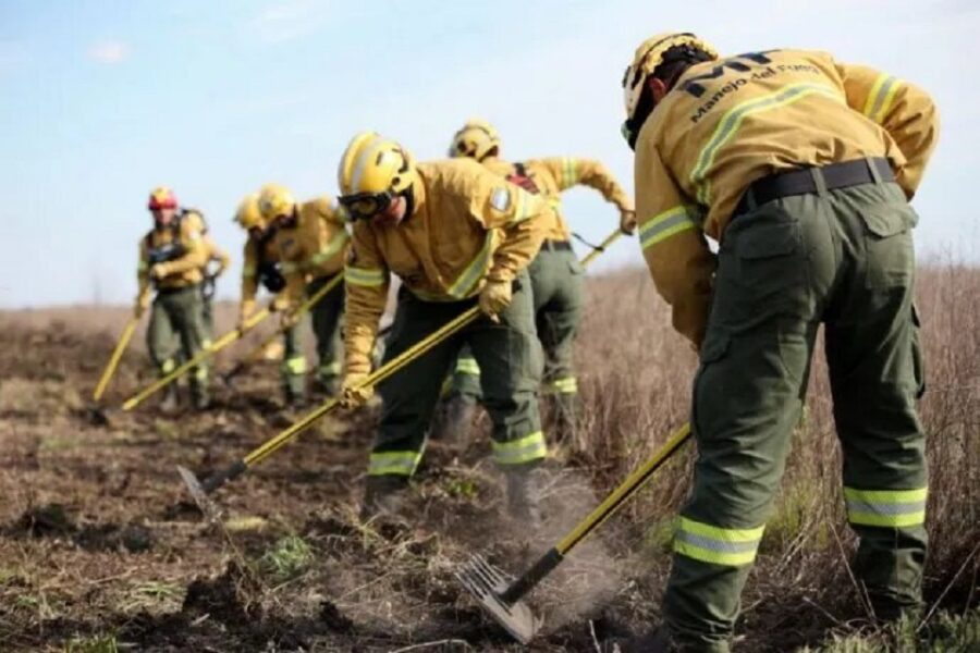 (Mención a Entre Ríos) Incendios del Delta: Ambiente denunciará a los dueños de los predios