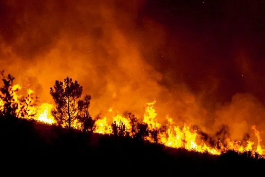 (Mención a Entre Ríos) Alberto Fernández, sobre incendios en el Delta: “No vamos a permanecer pasivos”