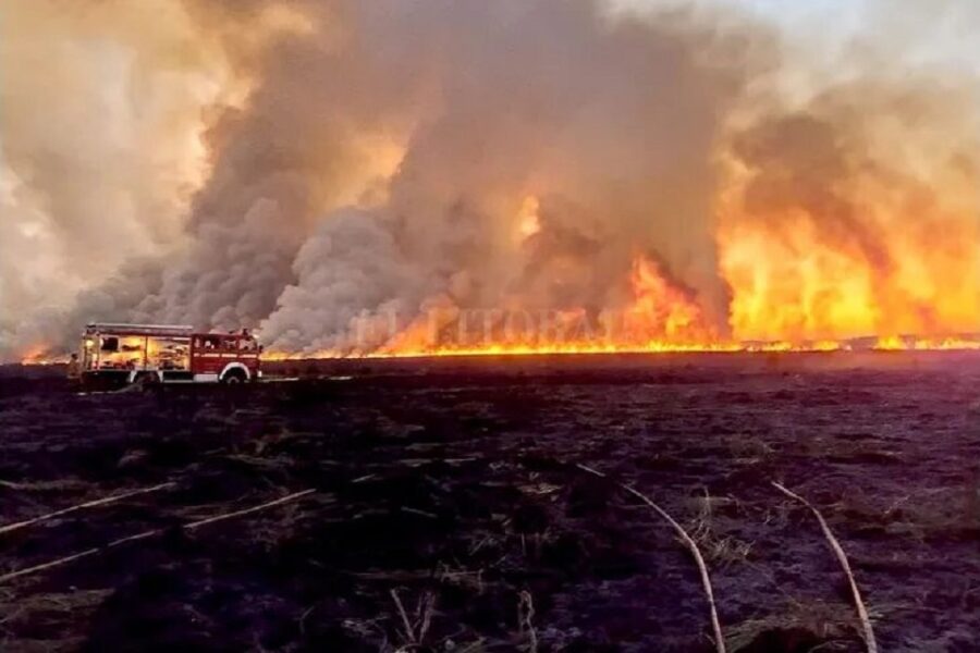 Incendios en el Delta del Paraná: hay focos importantes en Rosario-Victoria, San Pedro y Zárate
