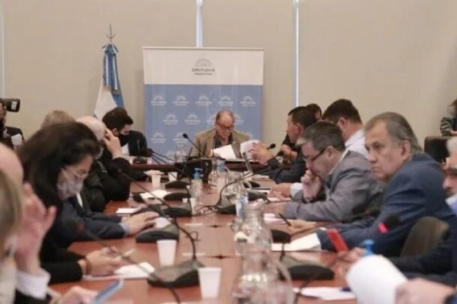 (Mención a legislador entrerriano) Diputados buscará prorrogar Ganancias y otros impuestos por cinco años