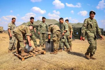 Una lucha desigual: el trabajo de los brigadistas para controlar los incendios en el Delta del Paraná