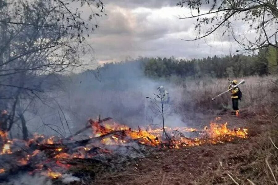 (Mención a Entre Ríos) Cinco provincia mantienen focos activos de incendios forestales en el país
