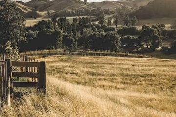 (Mención a Entre Ríos) Venta de terrenos: ¿cómo está el mercado y de qué forma se estima el precio promedio por hectárea?