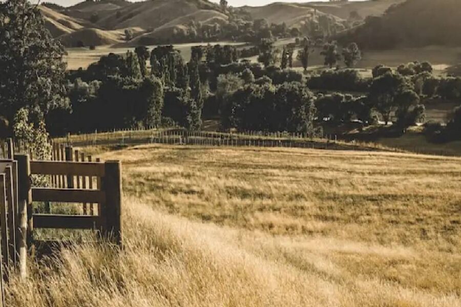 (Mención a Entre Ríos) Venta de terrenos: ¿cómo está el mercado y de qué forma se estima el precio promedio por hectárea?