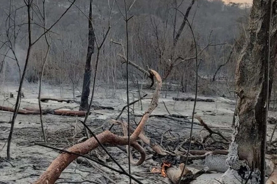 (Mención a Entre Ríos) Los incendios arrasan con más de 5.000 hectáreas de bosque en Jujuy y hay fuego en otras cuatro provincias