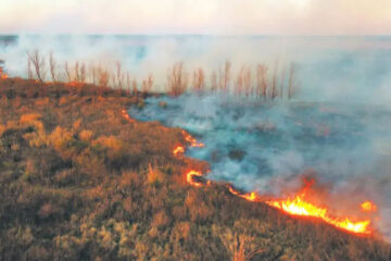 (Mención a legisladores de Entre Ríos) Crecen los incendios en todo el país y la Ley de Humedales sigue sin ser tratada por el Congreso