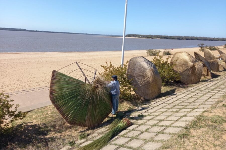 Continúan los trabajos en la Isla del Puerto