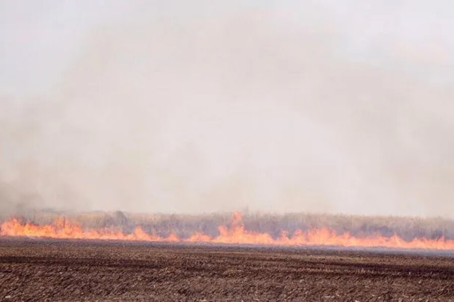 Entre Ríos despliega acciones frente a los “próximos 40 días” por los incendios en el Paraná
