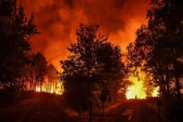 Incendios forestales: Jujuy, Córdoba y Entre Ríos tienen focos activos